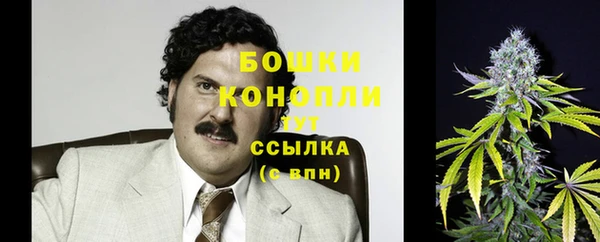 дурь Нягань