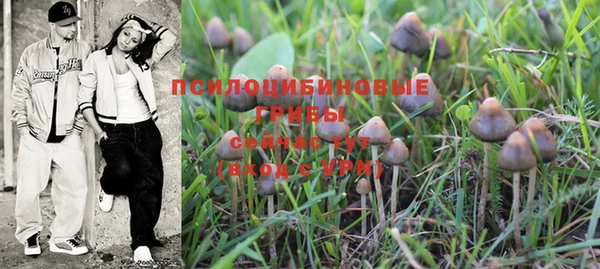 дурь Нягань