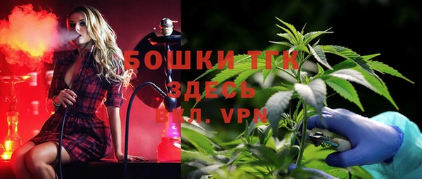 трава Осинники