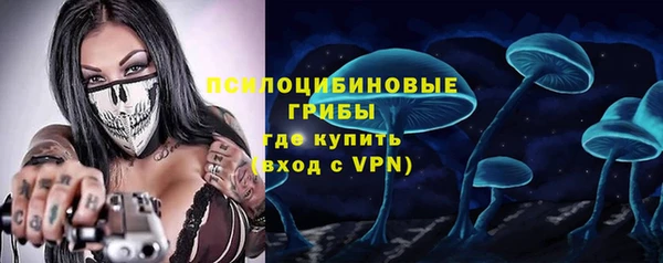 дурь Нягань
