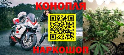 spice Гай