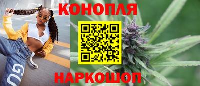 spice Гай