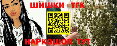 spice Гай