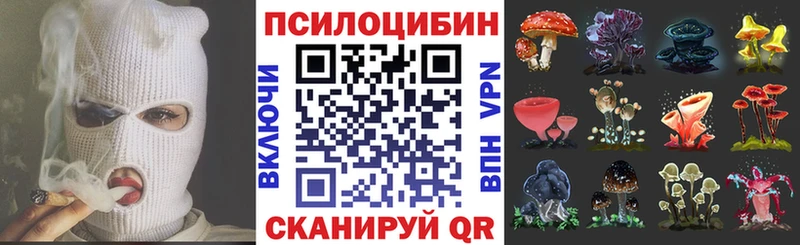 OMG   Кандалакша  Галлюциногенные грибы прущие грибы  дарнет шоп 